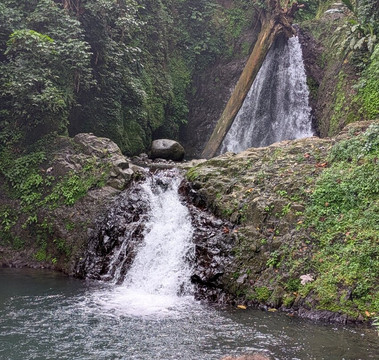 Henry Safari Tours-St. George's必去景点
