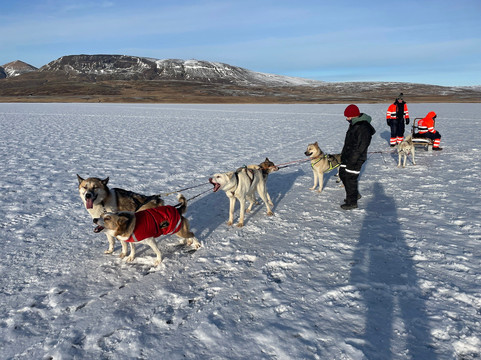 Dogsledding Iceland-莫斯费德斯拜尔必去景点