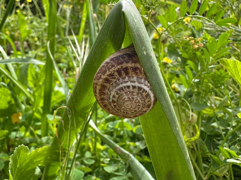 Ghar il-Kbir-Dingli必去景点