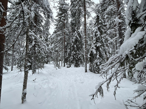 Bliss Adventure-Pyhatunturi必去景点