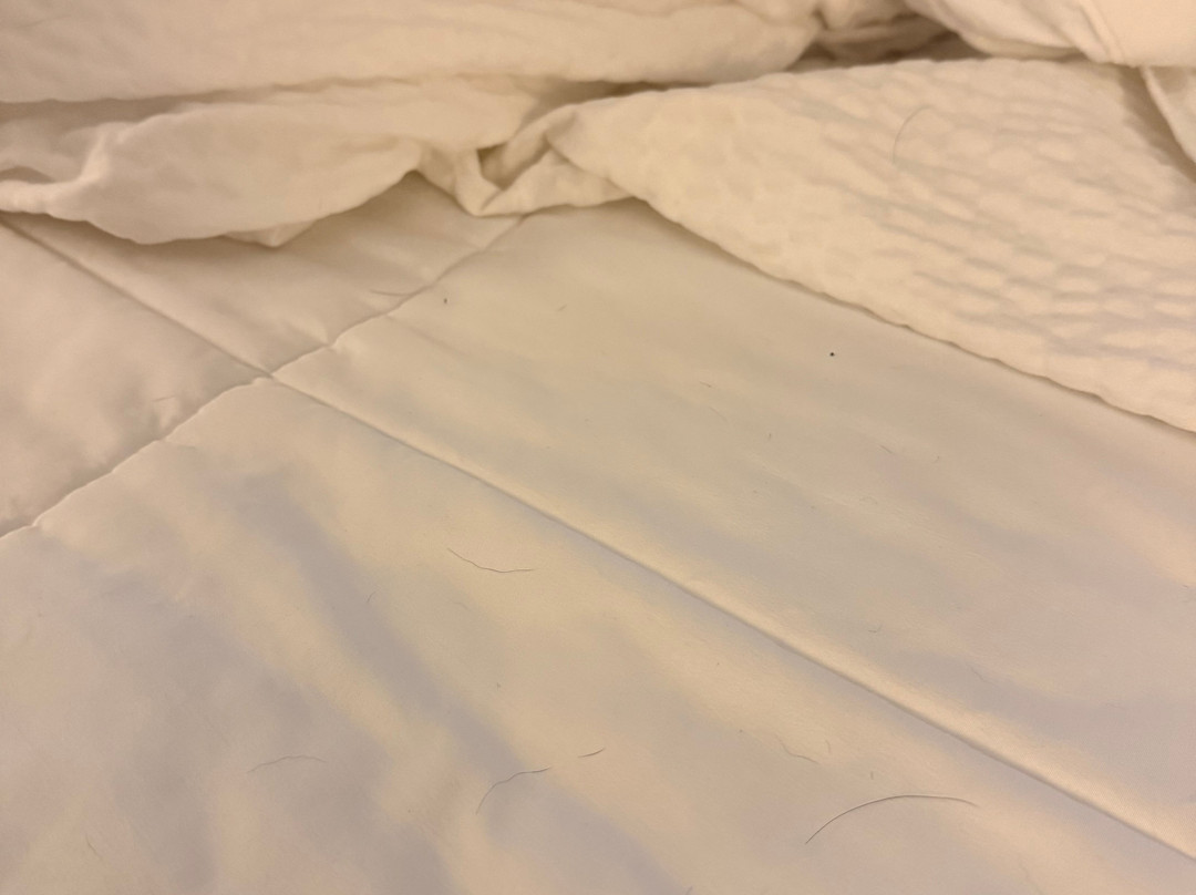 布朗伍德拉昆塔温德姆套房酒店主图