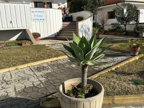 昂达布鲁酒店主图