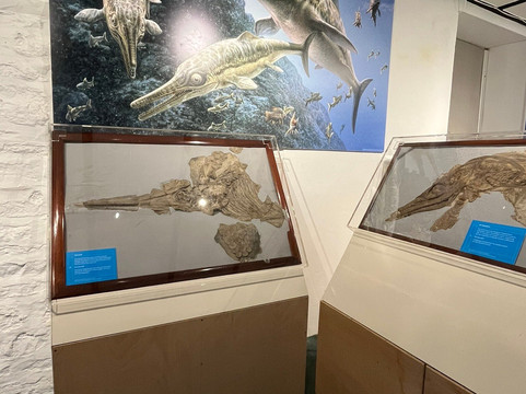 Shoemakers Museum-Street必去景点