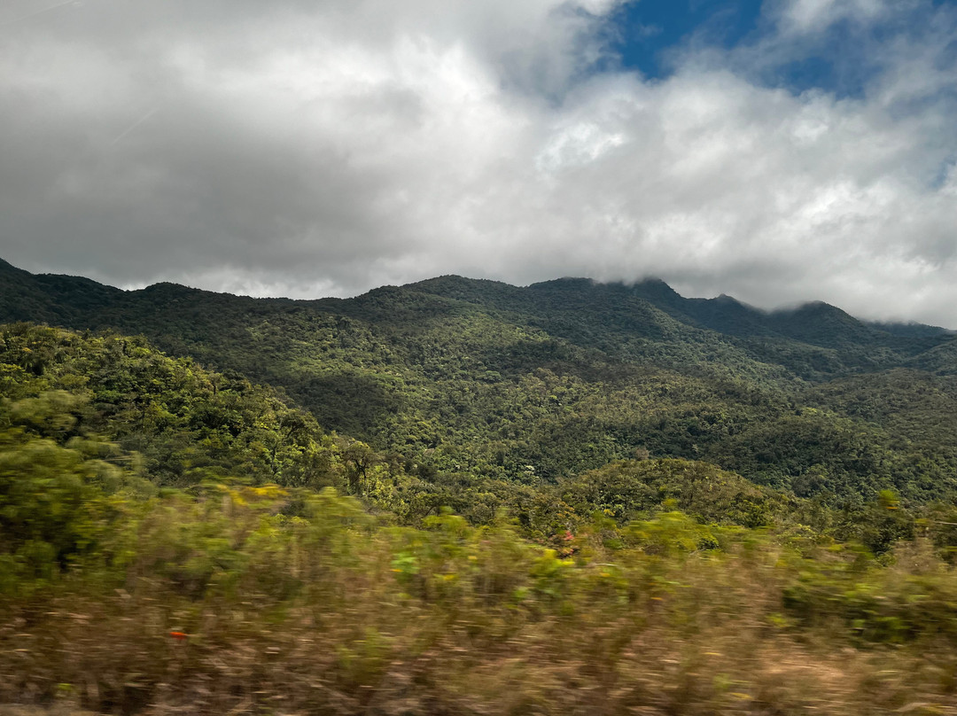 Eco Trips Panama-巴拿马城必去景点