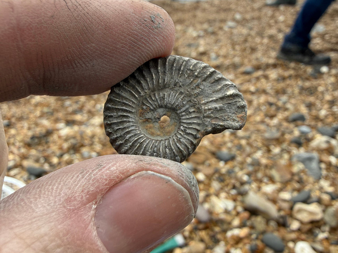 亨斯利之家主图