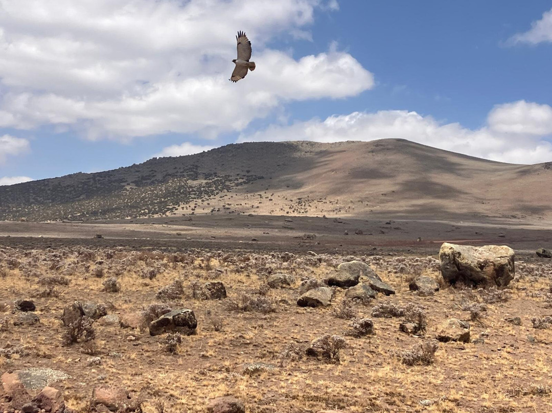 Bale Trek Ethiopia Tours