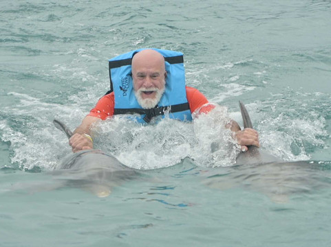 Dolphin Discovery Grand Cayman-西湾必去景点