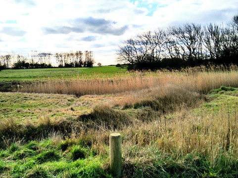 Leysdown Coastal Park-Leysdown-on-Sea必去景点