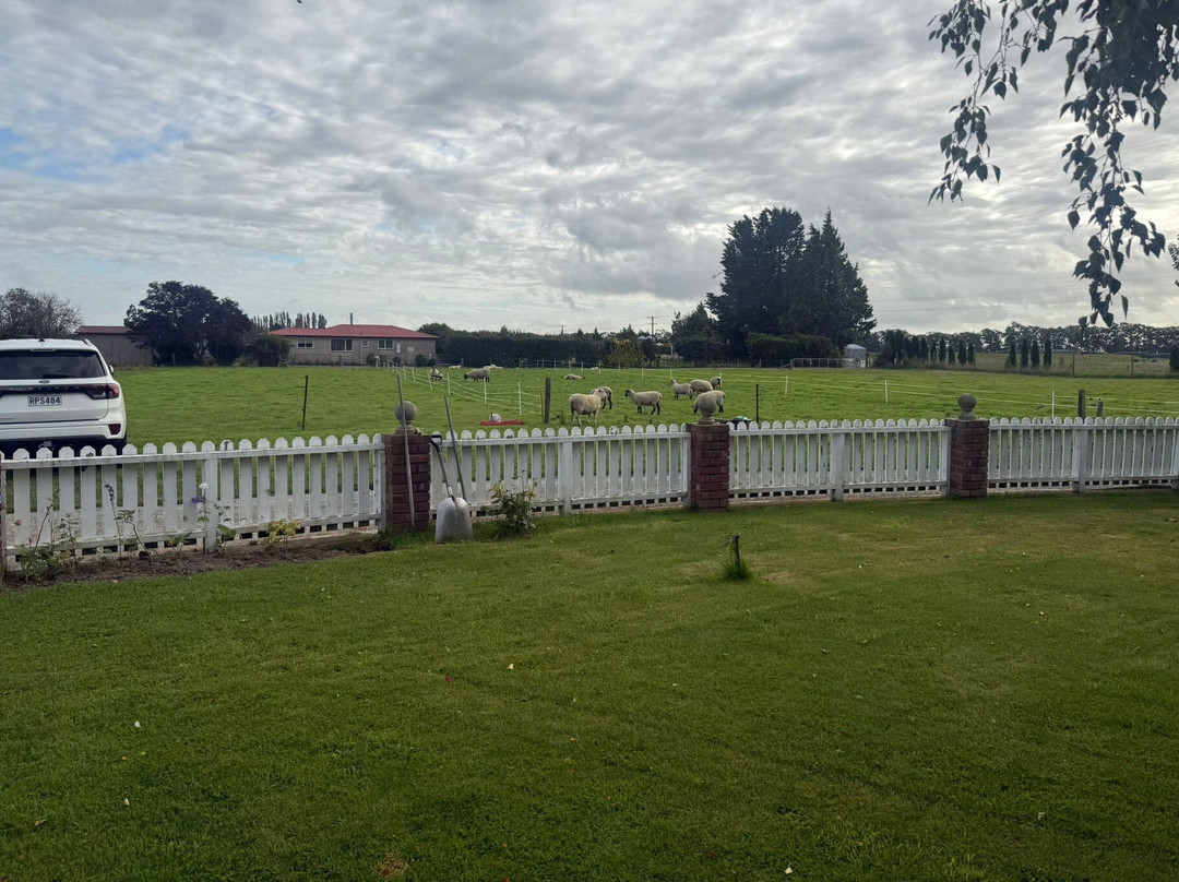 Oliver's Farmstay主图