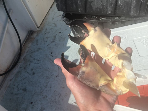 Native Guidance-Sugarloaf必去景点