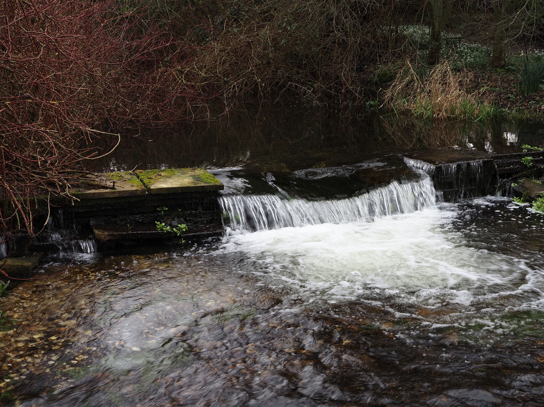 Gooderstone Water Gardens & Nature Trails-金斯林必去景点