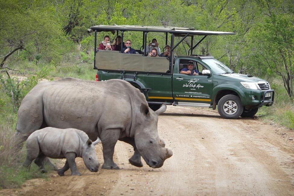 Kruger National Park Safari Specialists - Tours & Safaris-白河必去景点