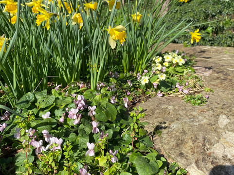 Hestercombe Gardens-汤顿必去景点