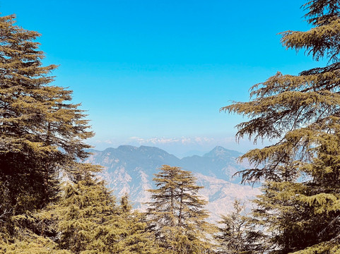 Shimla Walks-西姆拉必去景点