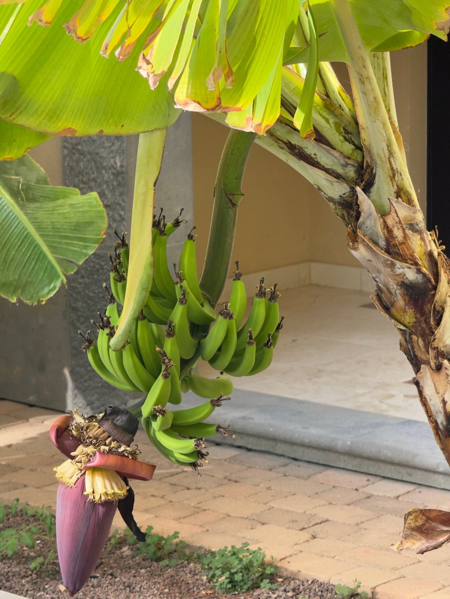 洛普森科斯塔梅隆内拉斯水疗度假村-浴室