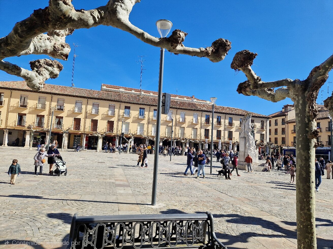 Plaza Mayor de Palencia-帕伦西亚必去景点