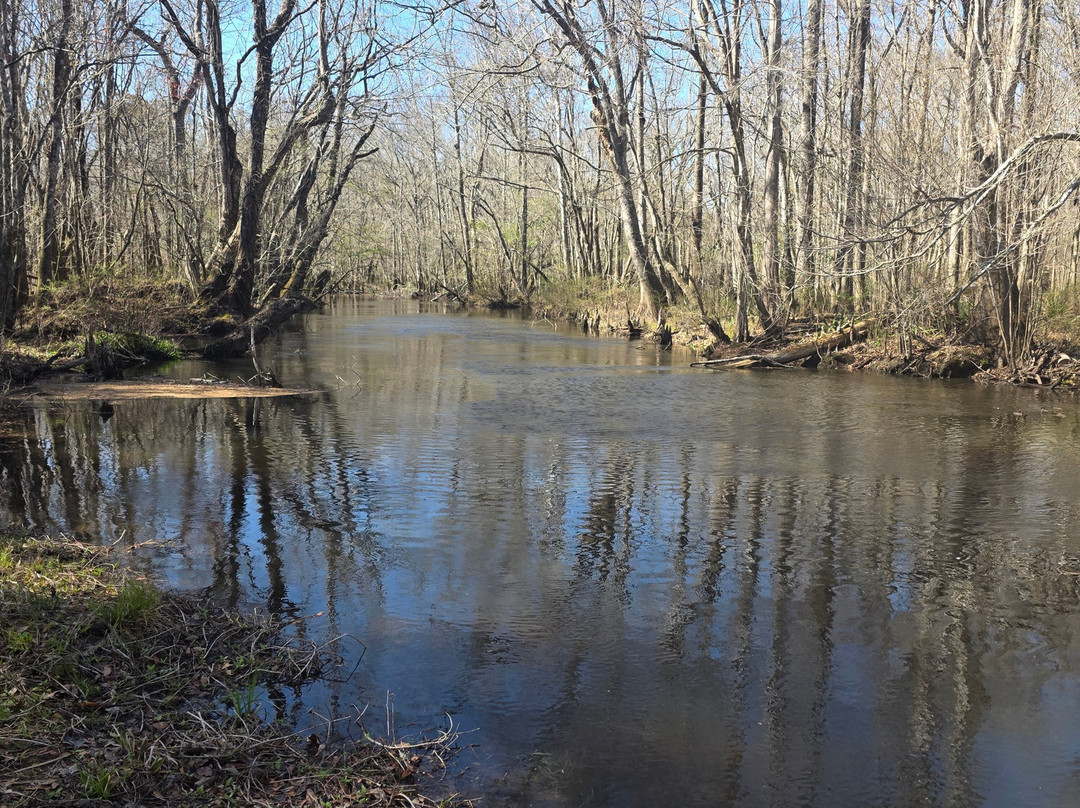 Holmes Creek Canoe Livery-Vernon必去景点