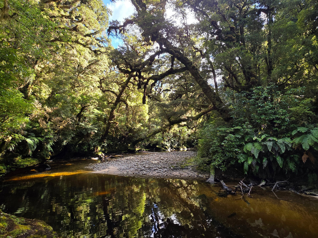 Oparara Kahurangi National Park Guided Tours-Karamea必去景点