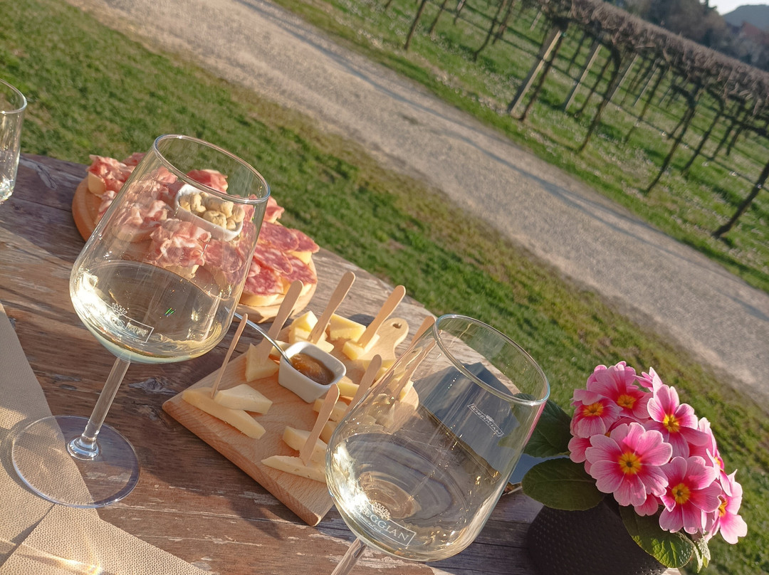 Azienda Agricola Loreggian-Arqua Petrarca必去景点