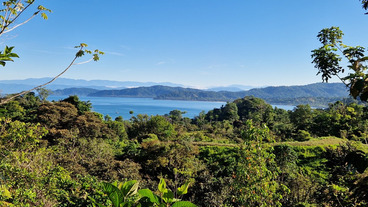 德雷克湾绿叶酒店-官方