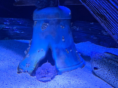 Newport Aquarium-Newport必去景点