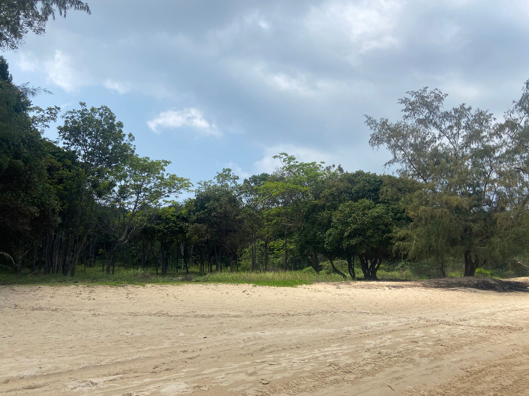 Saracen Bay Beach-高龙撒冷岛必去景点