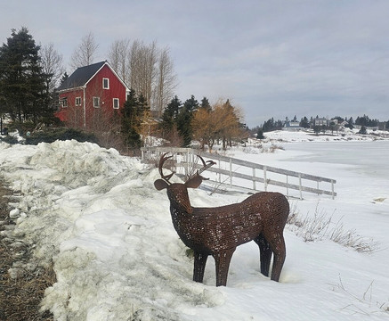 Hope For Wildlife-Seaforth必去景点