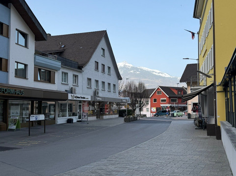 瓦度泽霍夫酒店主图