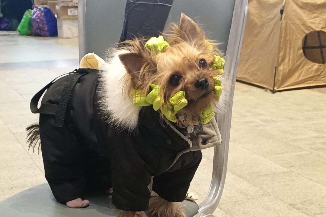 Gostiny Dvor and Trade Rows-Kimry必去景点