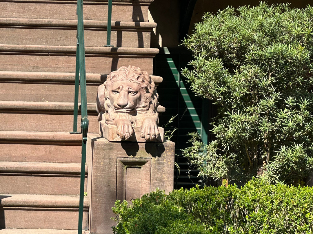 Free Savannah Tours-萨凡纳必去景点