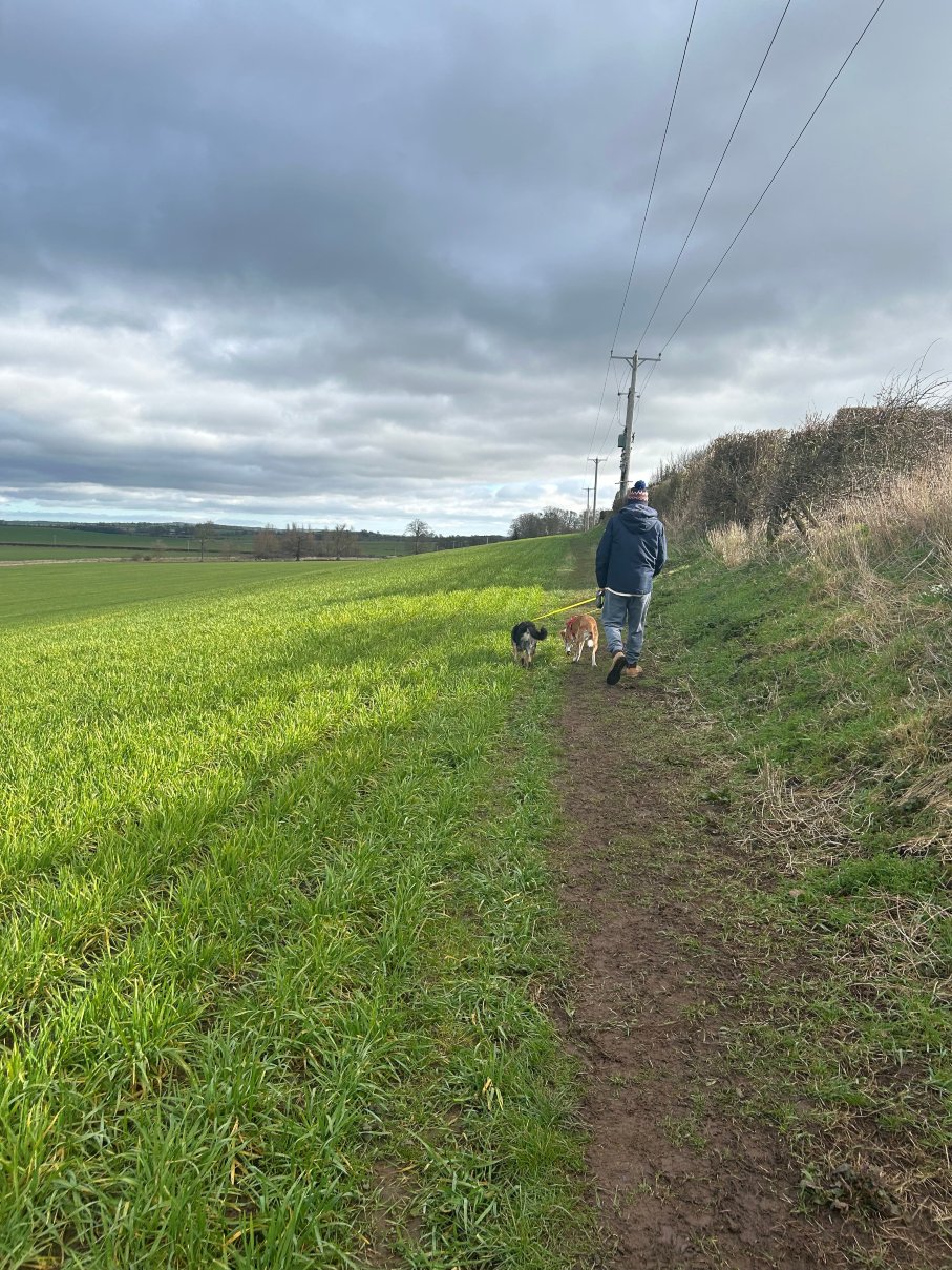 The Wheatsheaf at Swinton-官方