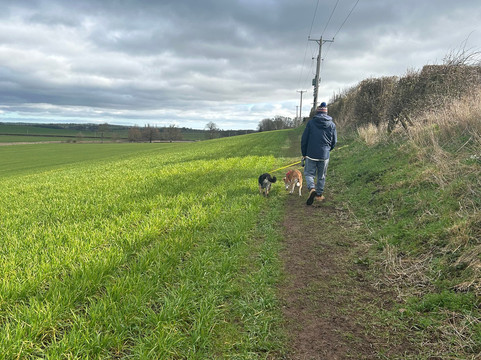 The Wheatsheaf at Swinton主图