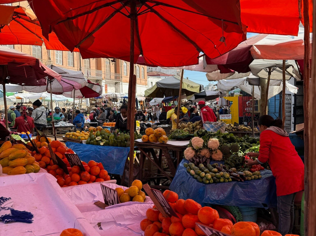 Wild-madagascar-tours-安塔那那利佛必去景点