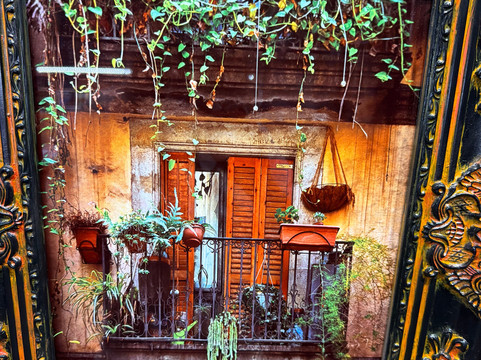 Joseph Walton Photography-新奥尔良必去景点