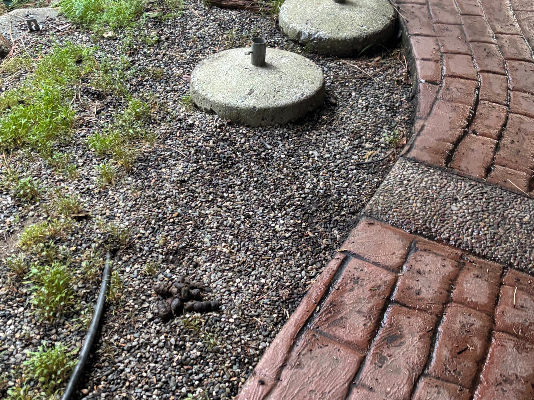 麦卡弗里住宿加早餐旅馆-官方