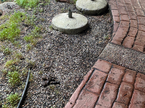 麦卡弗里住宿加早餐旅馆主图