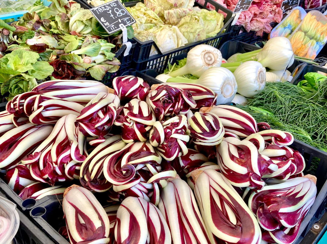 Piazza delle Erbe-帕多瓦必去景点