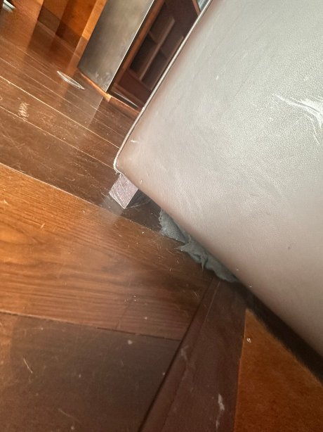 瑞士安德马特谢迪酒店-官方