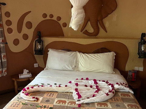 Designer Safari-内罗毕必去景点