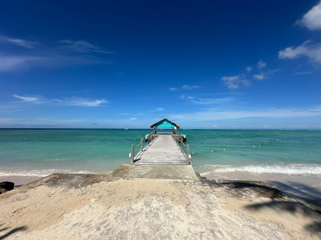 牧羊人旅馆主图