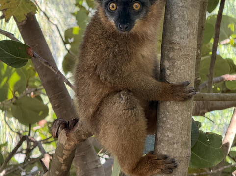 Sea It Clear Tours-North Sound必去景点