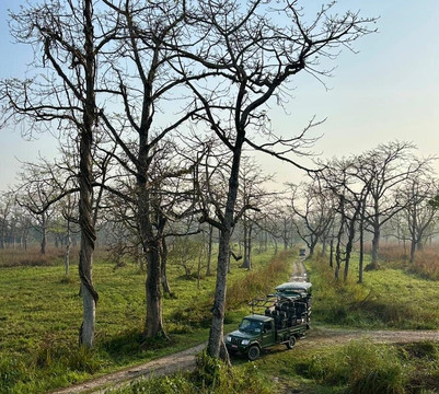 Nepal Dynamic Eco Tours & Services-奇旺国家公国必去景点