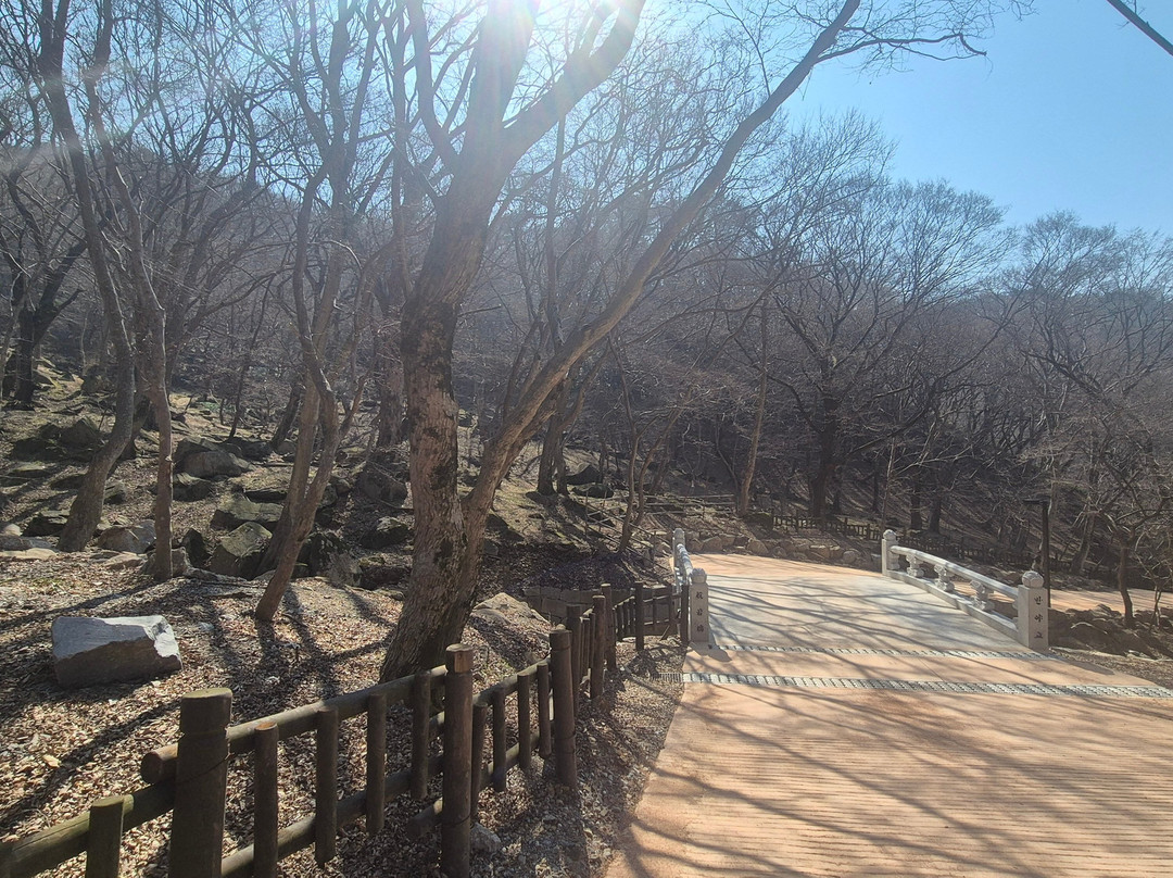 Gochang Munsusa Maple Tree Forest-高敞郡必去景点