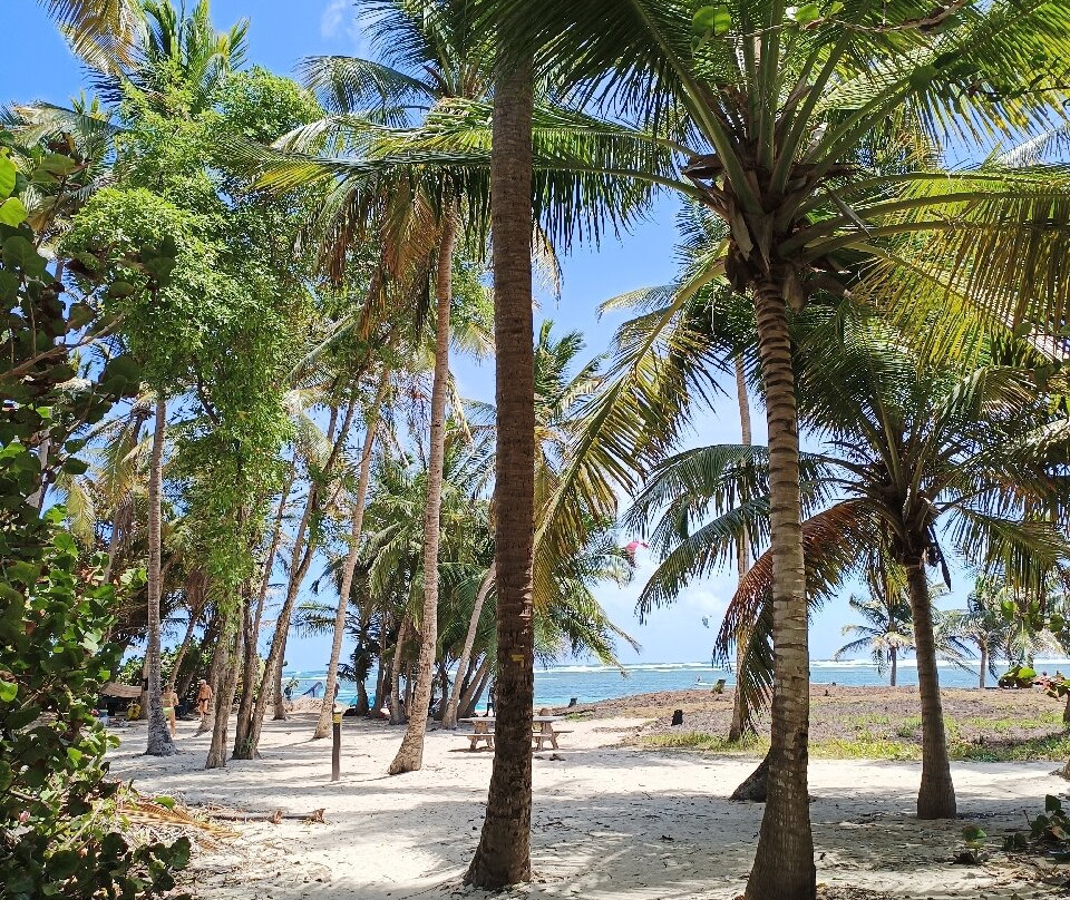 Anse Michel-Sainte-Anne必去景点