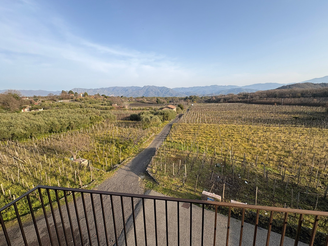 菲希纳泰努塔酒店主图