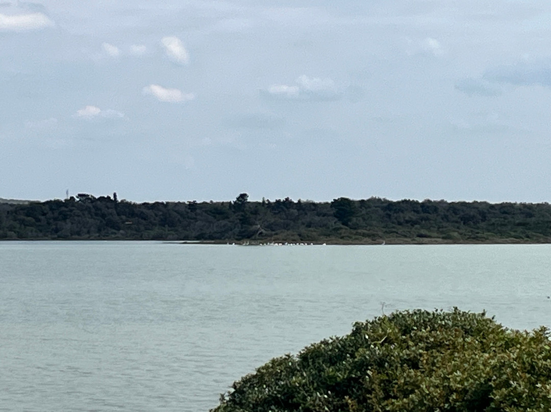 Spiaggia Salina dei Monaci-Manduria必去景点