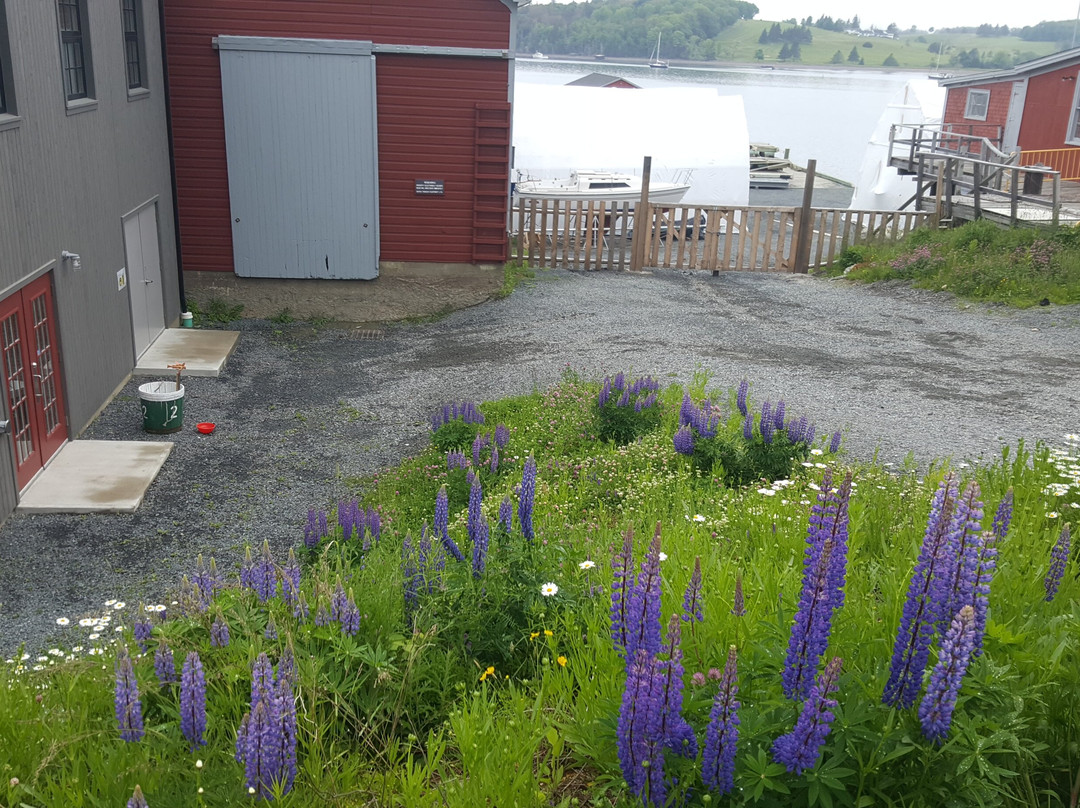 Fisheries Museum of the Atlantic-卢嫩堡必去景点