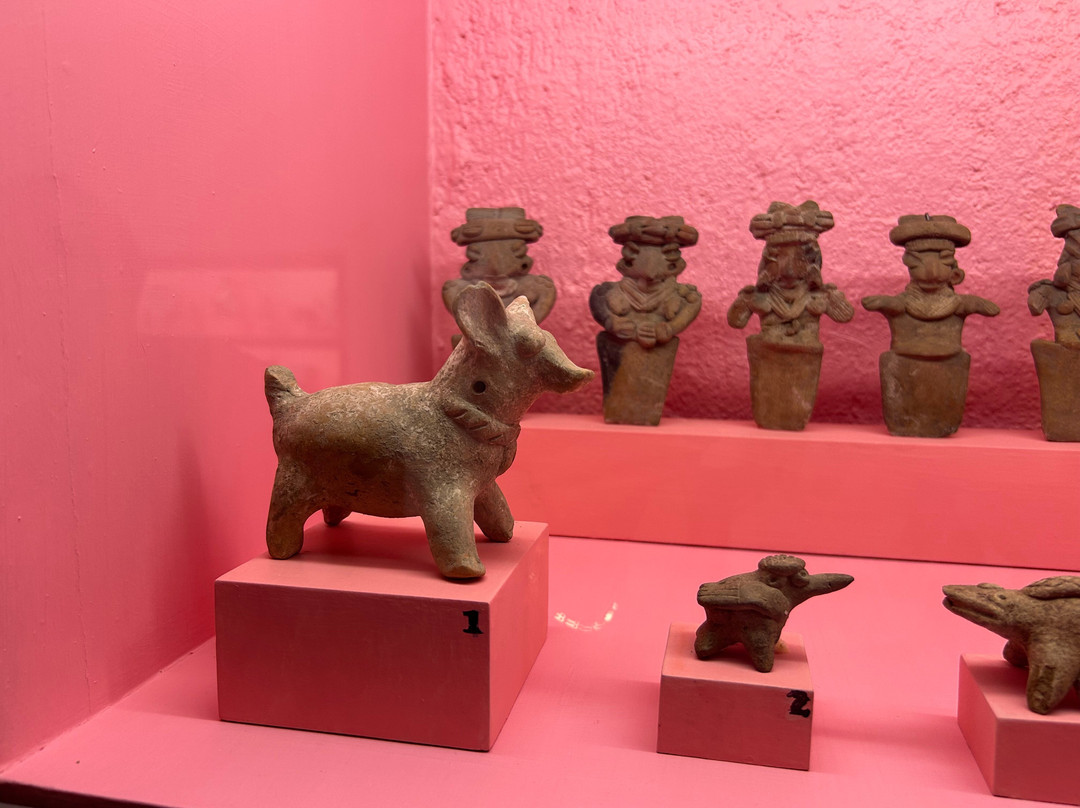Museo de Arte Prehispánico de México-瓦哈卡必去景点