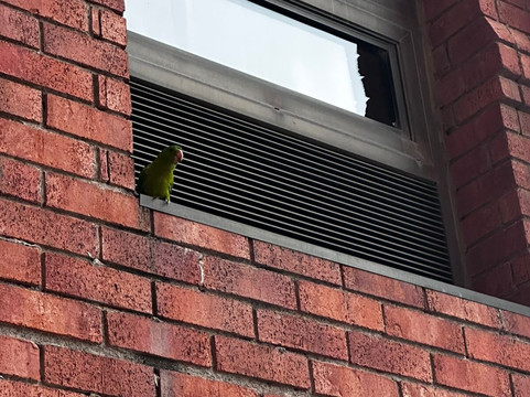 温德姆花园北蒙特雷酒店主图