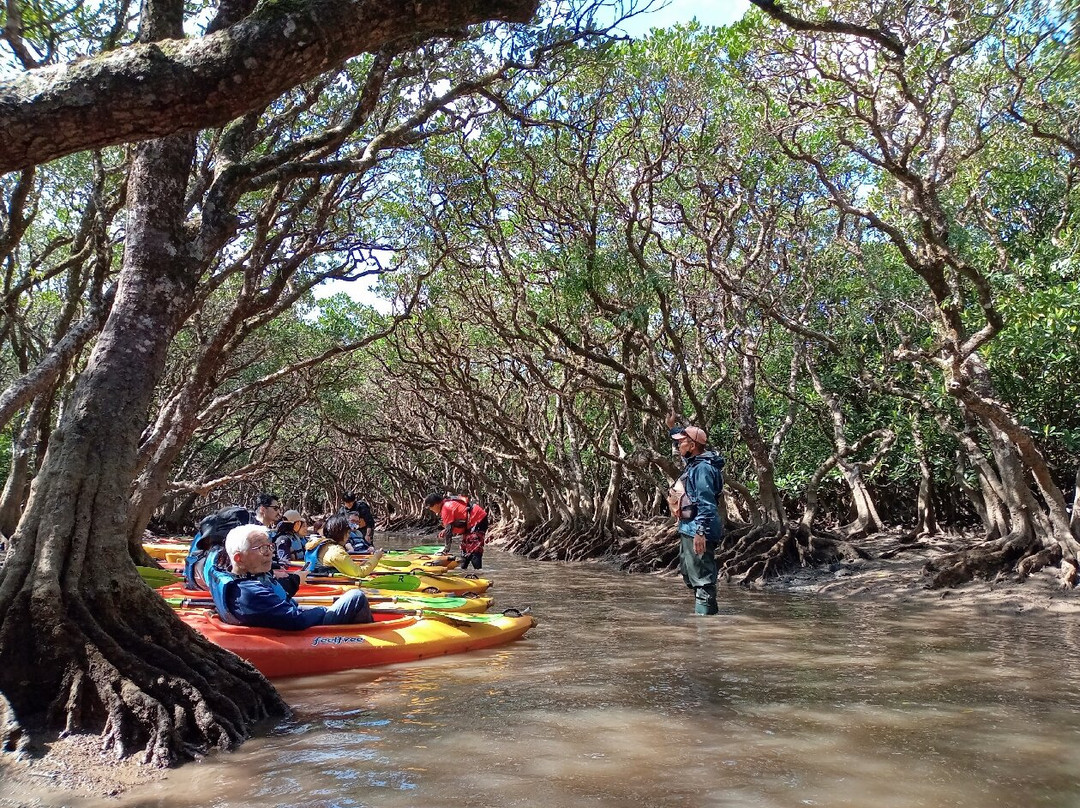 Amamigunto National Park-奄美市必去景点